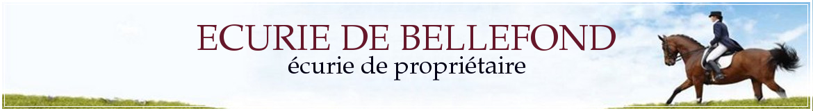 ECURIE DE BELLEFOND